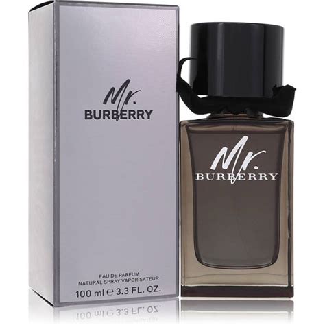 burberry mr burberry cologne.